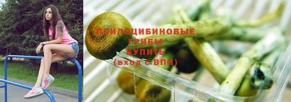 дурь Корсаков